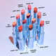 Balmy Lip Care Sticks Image 2