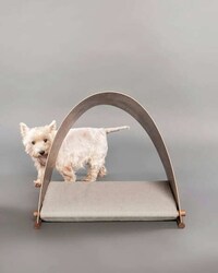 Flat-Packed Dog Kennels Image 2