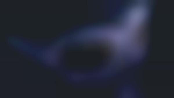 Collectible Phygital Sunglasses
