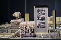 Wool-Centric Contemporary Exhibitions Image 1