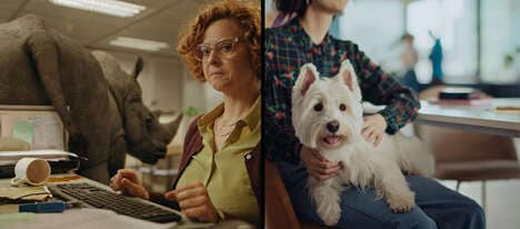 Pet-Friendly Offices Grants