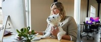 Pet-Friendly Offices Grants Image 2