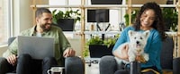 Pet-Friendly Offices Grants Image 3