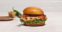 QSR-Backed Sandwich Trials Image 1
