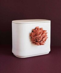 Mushroom-Growing Ceramic Planters Image 1