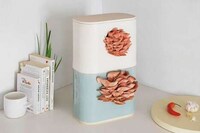 Mushroom-Growing Ceramic Planters Image 3