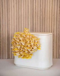 Mushroom-Growing Ceramic Planters Image 4