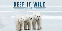 Polar Bear-supporting Collections