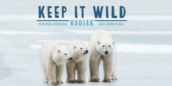 Polar Bear-supporting Collections