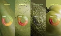 Food Waste-Combatting Smart Stickers