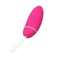 Pelvic Floor Workout Devices Image 2