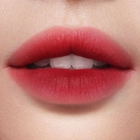 Adaptable Blurring Lipsticks Image 2