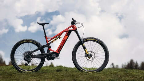 Limited-Run E-Bikes