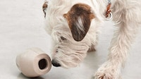 Interactive Dog Feeder Toys Image 1