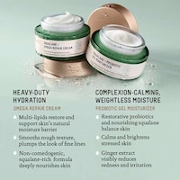 Probiotic Gel Moisturizers Image 3