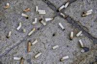 Litter-Reducing Bitcoin Progams