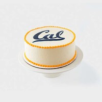 Stunning Celebratory Custom Cakes