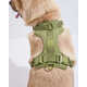 Moss-Colored Dog Accessories Image 2