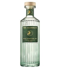 Actor-Backed Scottish Gins Image 1