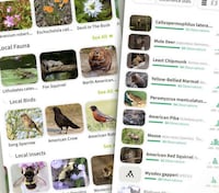 Nature Exploration Apps Image 2