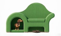 Pet-Friendly Chair Designs