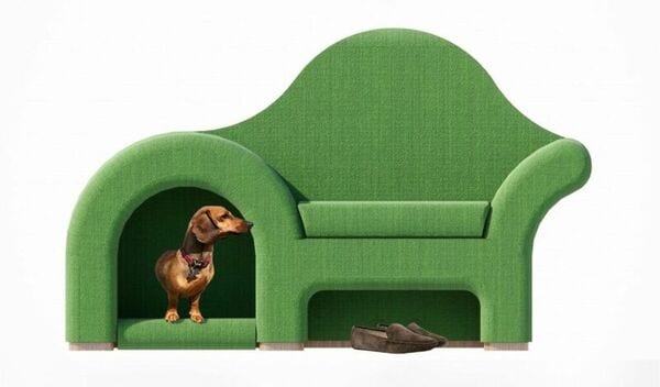 Pet-Friendly Chair Designs