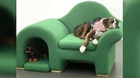 Pet-Friendly Chair Designs Image 2