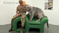 Pet-Friendly Chair Designs Image 3
