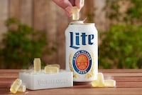 Cooling Beer Cubes Image 3