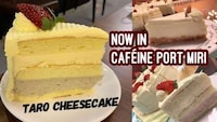 Specialty Taro Cheesecakes