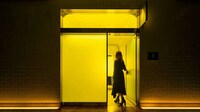 Light-Filled Public Restrooms Image 4