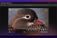 Multiplatform Privacy Browsers Image 1