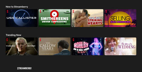 Customized Streaming Platform Features