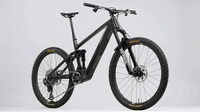 Height-Accommodating E-Bikes Image 1