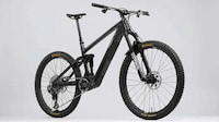 Height-Accommodating E-Bikes