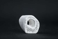 Patented 3D-Printed Bone Implants Image 1