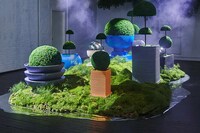 Bold Hand-Crafted Planters