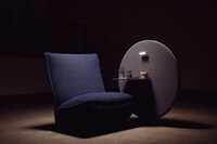Versatile Hybrid Lounge Chairs Image 2