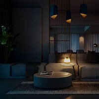 Naturalistic Biophilic Lamp Designs Image 1