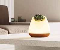 Naturalistic Biophilic Lamp Designs Image 2