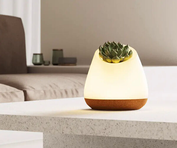 Naturalistic Biophilic Lamp Designs Image 2
