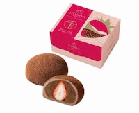 Luxury Japanese Chocolate Products Image 2