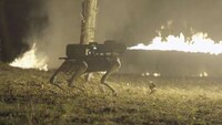 Flame-Throwing Robotic Dogs Image 2