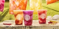 Frozen Summer Menus Image 3