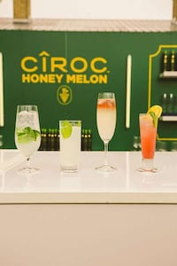 Vodka Garden Party Events Image 3