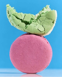 Plant-Powered Egg Replacers