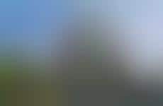 Curvaceous Luxury Condominiums