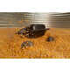Remotely Controlled Grain Robots Image 1