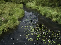 Chalk Streams Exhibits Image 1