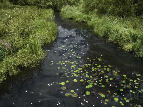 Chalk Streams Exhibits